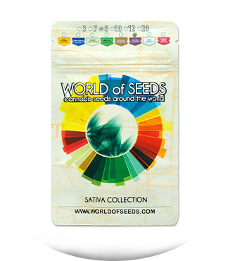 Sativa Pure Origin Collection 8 fem (World of Seeds)