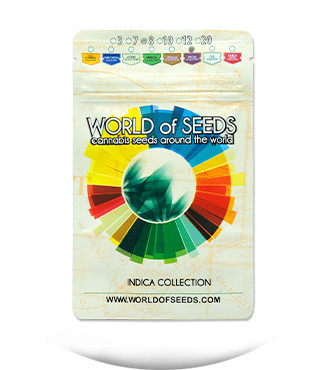 Indica Pure Origin Collection 8 fem (World of Seeds)